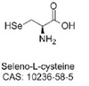 mupirocin