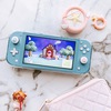 Nintendo switch lite case