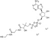 Dephospho CoA