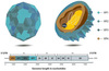 Enterovirus 71 Virus Antigens