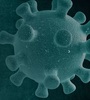 rnai blog