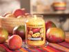 Большая свеча Yankee Candle Mango Peach Salsa