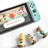 Nintendo switch clear case
