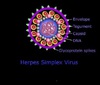 Aspergillus Antigens