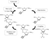 phosphoramidite chemistry