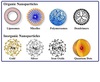 rnai explained