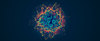 AI drug design