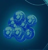 rnai blog
