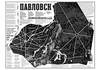 Карта «Павловск»