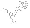 Calendula extract