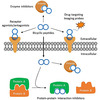 caspase 1 inhibitor