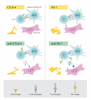 pancreastatin