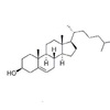 cholesterol conjugated sirna