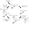 chemical synthesis of dna by phosphoramidite method