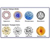 sirna nanoparticles