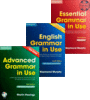 Essential (English) Grammar In Use