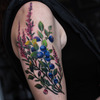 blueberry tatoo