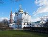 Посетить Новодевичий монастырь
