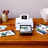 Canon SELPHY CP1300