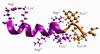 pharmaceutical peptides