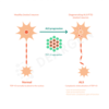 D240 Antibody