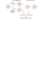 F8 Antibody