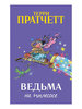 Ведьма на пылесосе | Пратчетт Терри