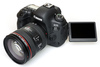 Canon RP/Canon R/Canon EOS 6D Mark II