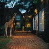 The Giraffe Manor