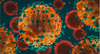 EBV gp 220 Antibody