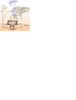 IGLC1 Antibody