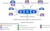 Rubella Virus Antibody