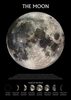 Moon Phases Poster