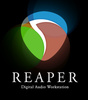 Reaper license