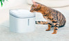 Питьевой фонтанчик для кошки