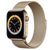 Apple Watch S6 40mm Gold