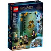 LEGO® Harry Potter ™ Hogwarts ™ Moment: Potions Class (76383)