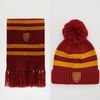Набор шапка и шарф Harry Potter