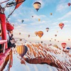 Увидеть вживую фестиваль воздушных шаров