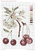 DMC Herbarium Cerise