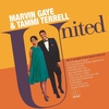 Marvin Gaye – United