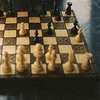 научиться играть в шахматы