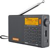 Радио XHDATA D-808