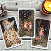 Oak, Ash & Thorn Tarot / Таро трёх деревьев