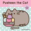 Pusheen Stuff