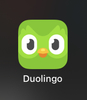 Подписка Duolingo