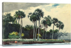 ARTCANVAS Red Shirt Homosassa Florida 1904 Canvas Art Print by Winslow Homer - 40" x 26" (0.75" Deep)