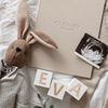 cloudy babybook