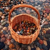 Собирать камушки на Онежском озере