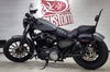 Harley Davidosn Sportster 883 Matte